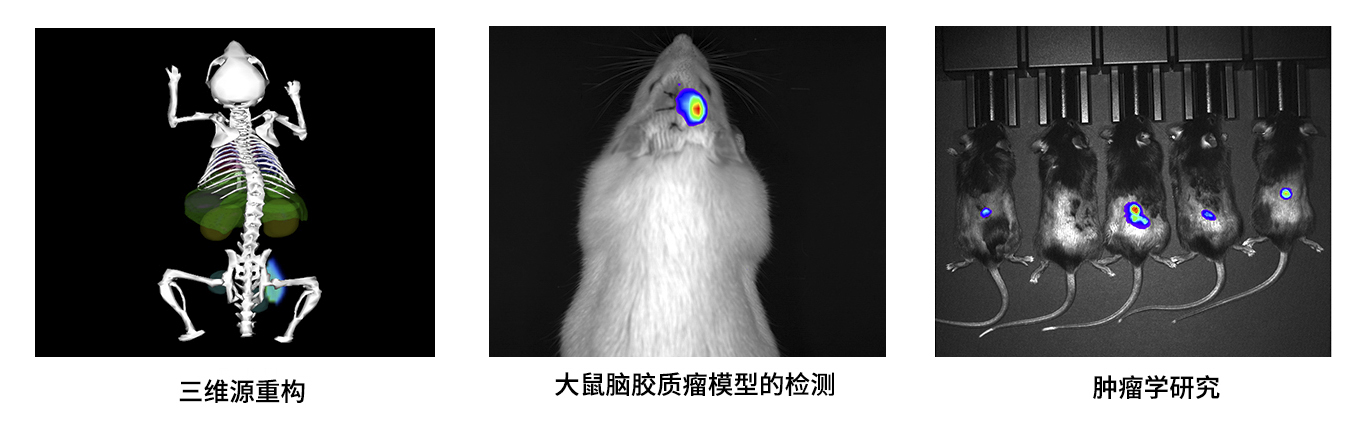 博鷺騰AniView Kirin 系列小動(dòng)物活體三維成像系統(tǒng)