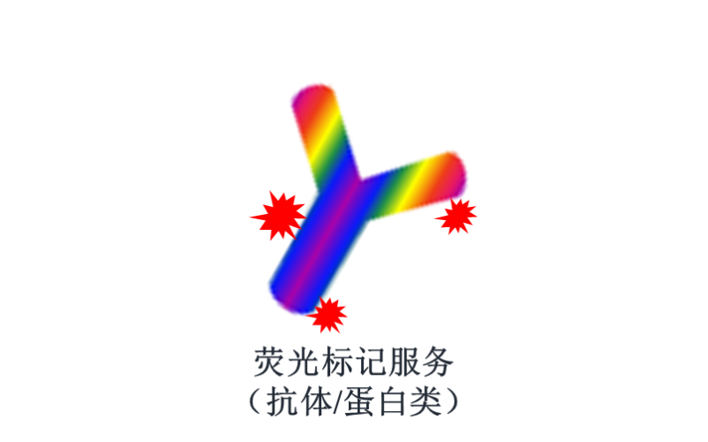 熒光標記服務（抗體/蛋白類）