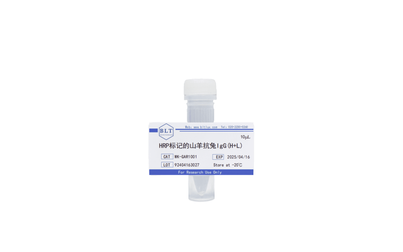 HRP標(biāo)記的山羊抗兔IgG(H+L)