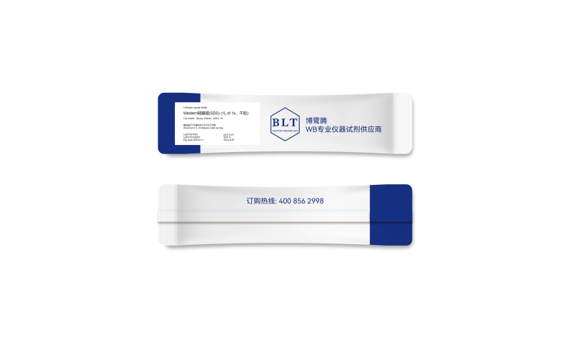 Western轉(zhuǎn)膜液(SDS) (1L of 1x，干粉)