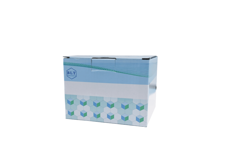 新型快速免染PAGE凝膠制備試劑盒