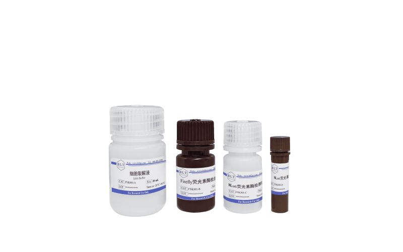 Firefly&NLuc雙熒光素酶報(bào)告基因檢測試劑盒