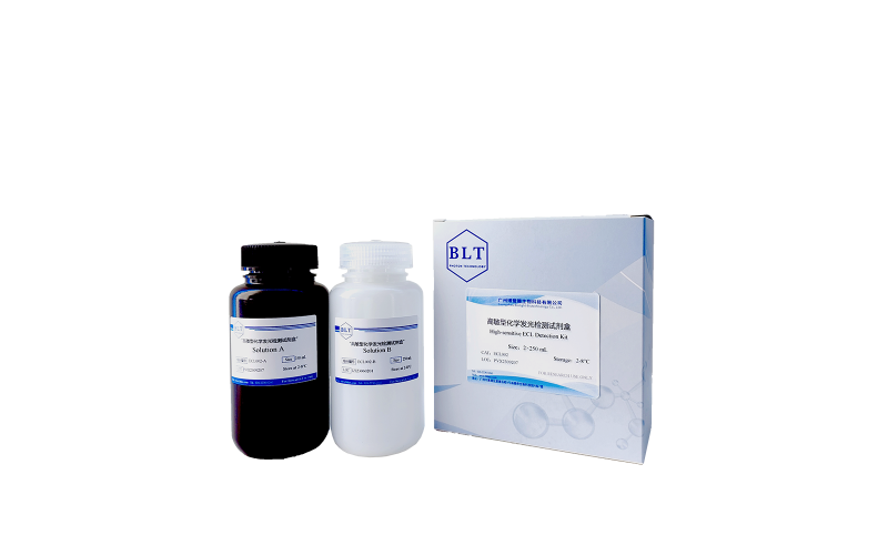 高敏型化學(xué)發(fā)光檢測(cè)試劑盒