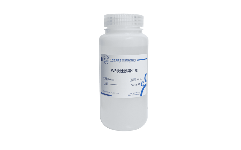 WB快速膜再生液（增強型）