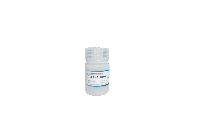 外泌體專用裂解液